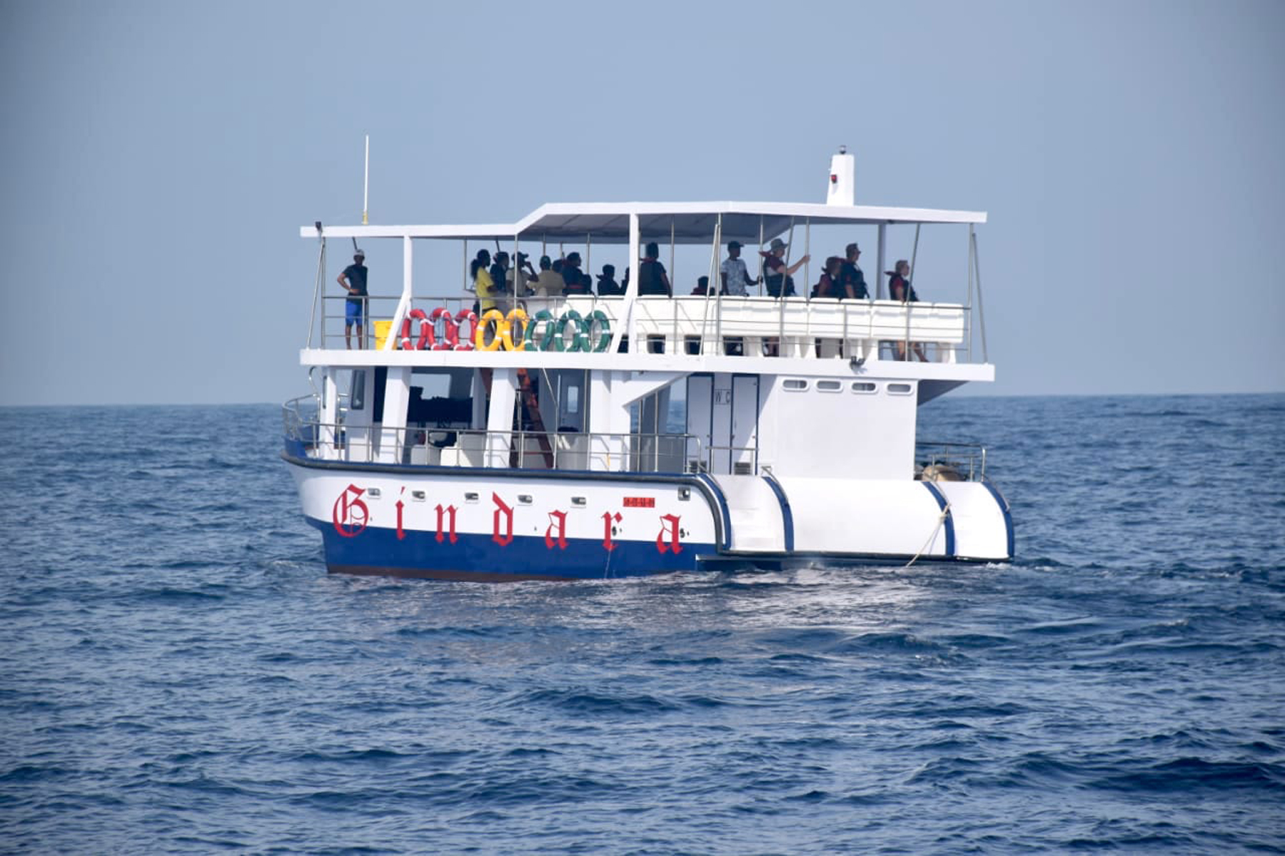 whale-watching-mirissa-boat2