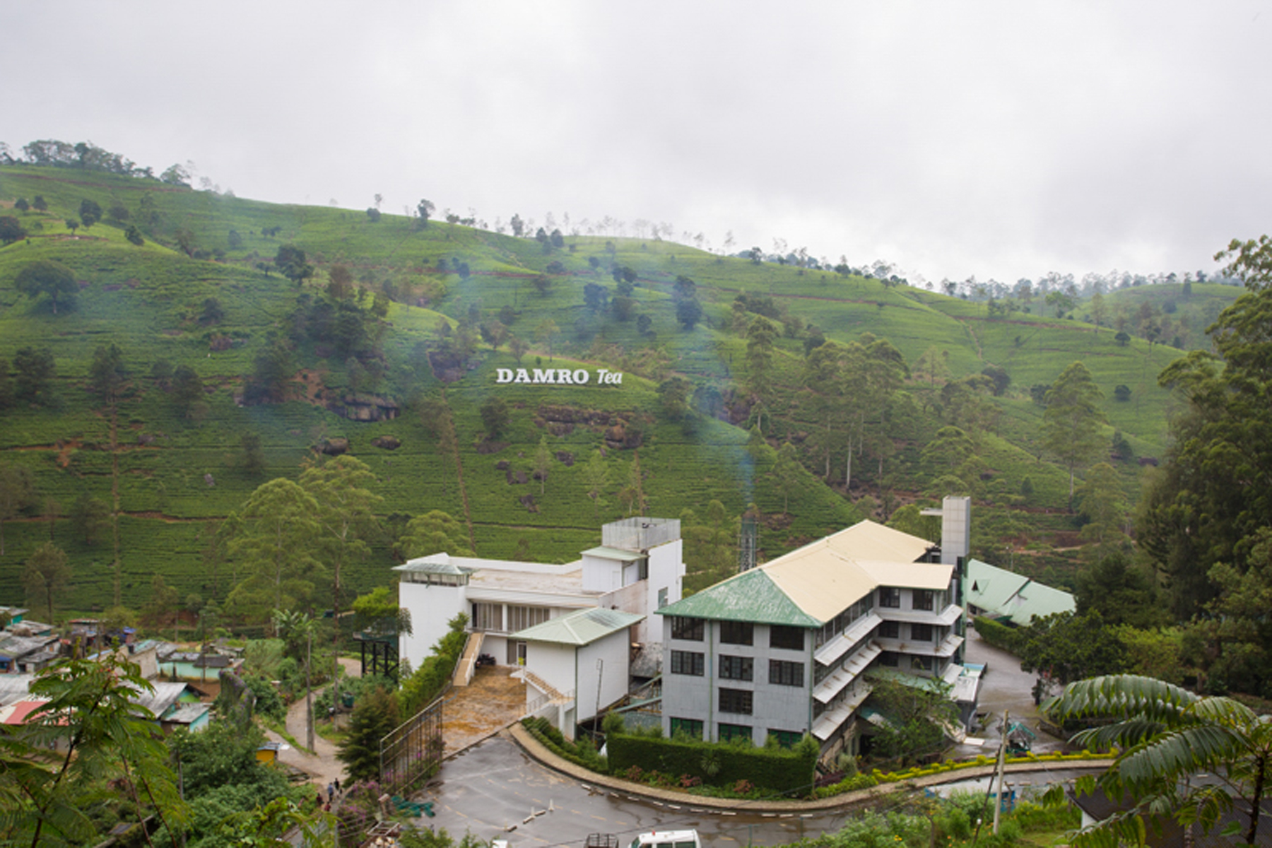 damro-tea-center-labukelle-33